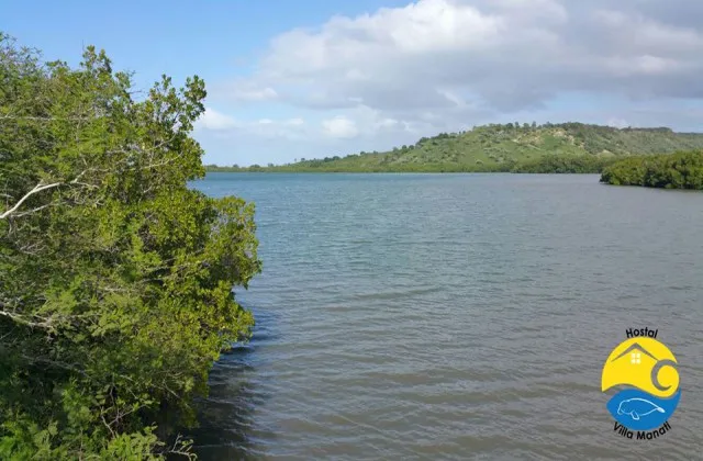 Parque Nacional de manatíes Estero Hondo